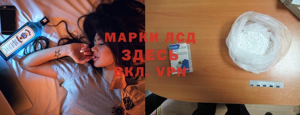 гашик Зеленокумск